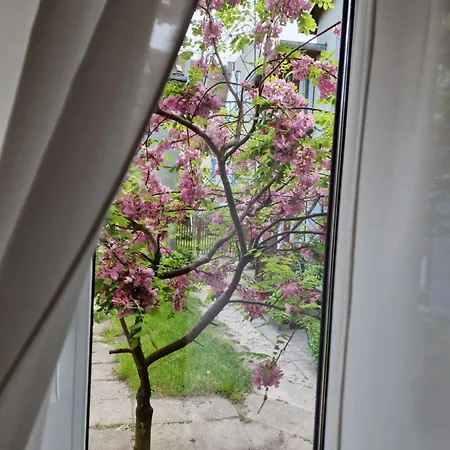Apartament Cassino Lägenhet Sopot