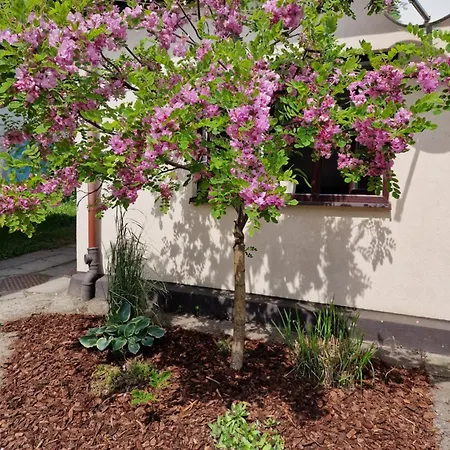 Apartament Cassino Zoppot