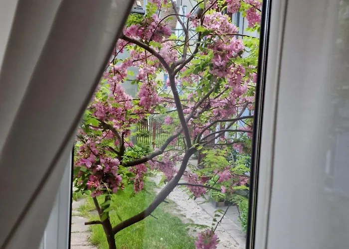 Apartament Cassino Apartment Zoppot