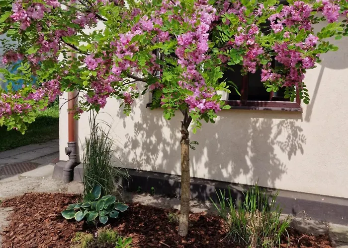 Apartament Cassino Zoppot